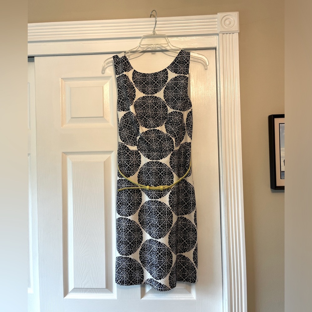 The Limited a-line white and navy dress size 6